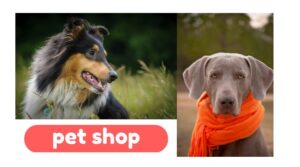 Quem são os clientes de um pet shop?